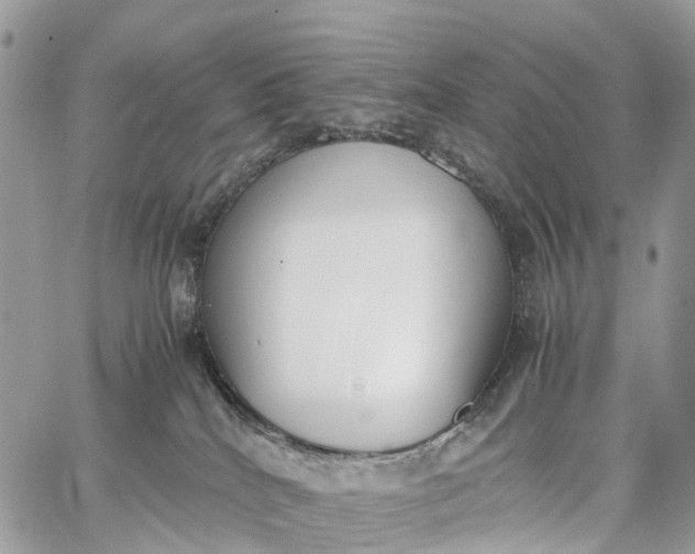 X0000062670040200601041021