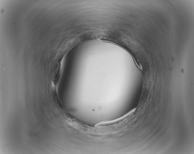 X0000062670041200601041021