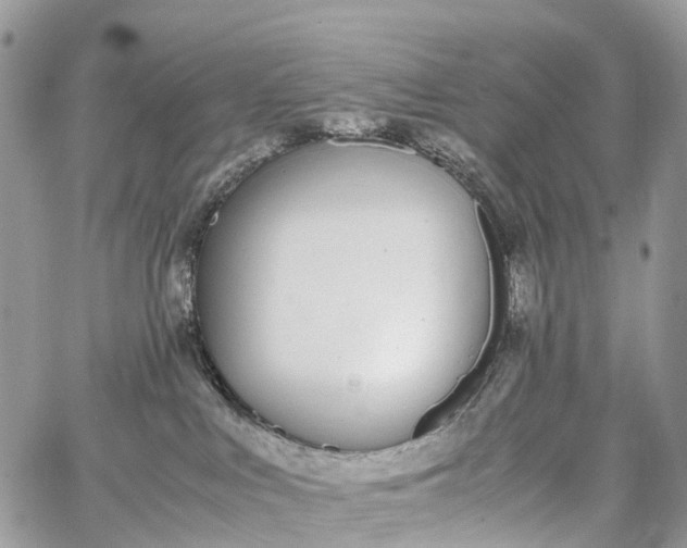 X0000062670043200601041021