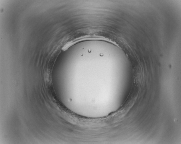 X0000062670044200601041021