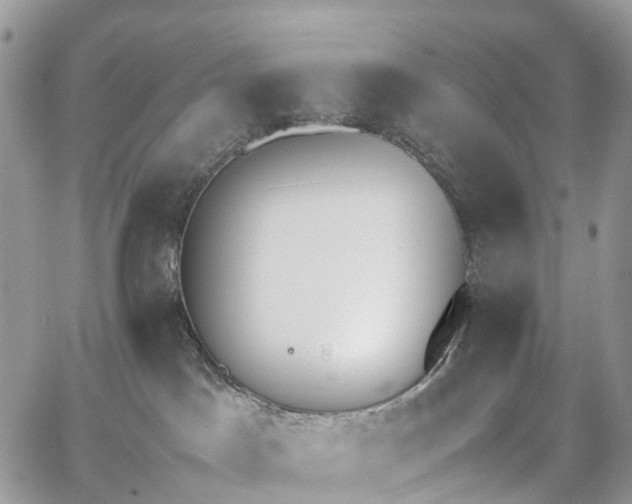 X0000062670045200601041021