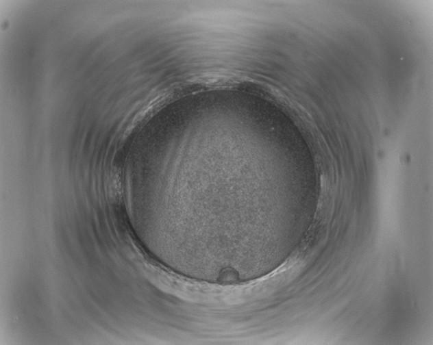 X0000062670048200601041021