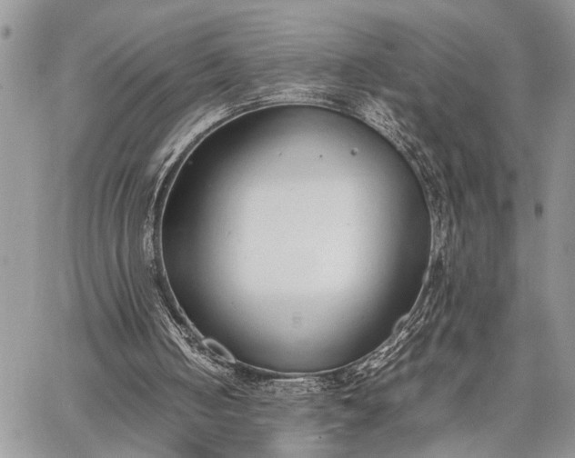 X0000062670050200601041020