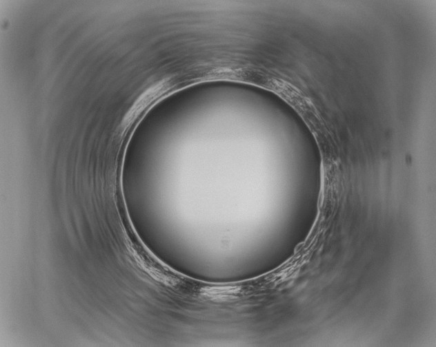 X0000062670051200601041020