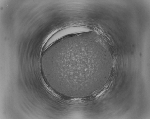 X0000062670052200601041020