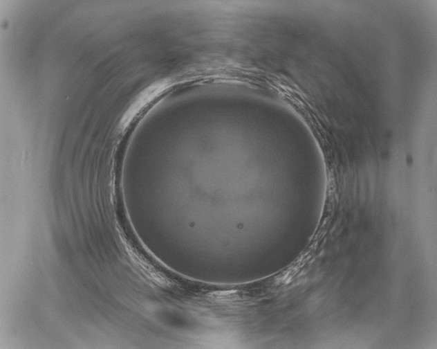 X0000062670054200601041020