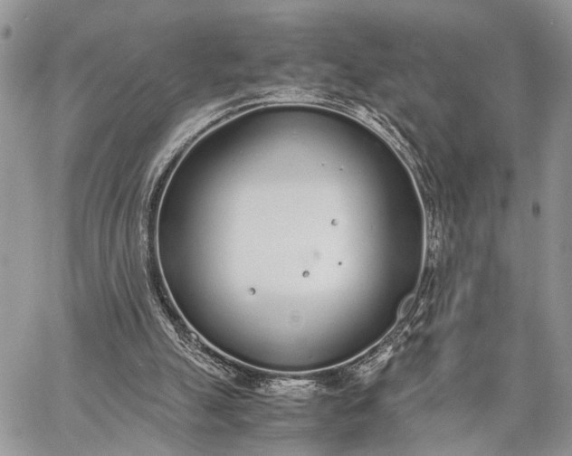 X0000062670055200601041020