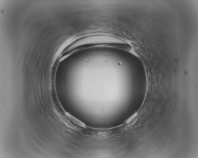 X0000062670056200601041020