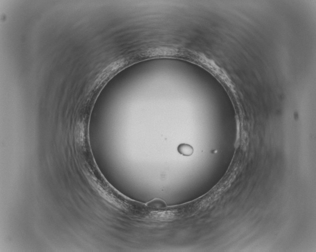 X0000062670057200601041020