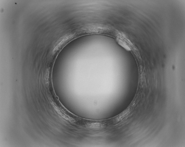 X0000062670058200601041020