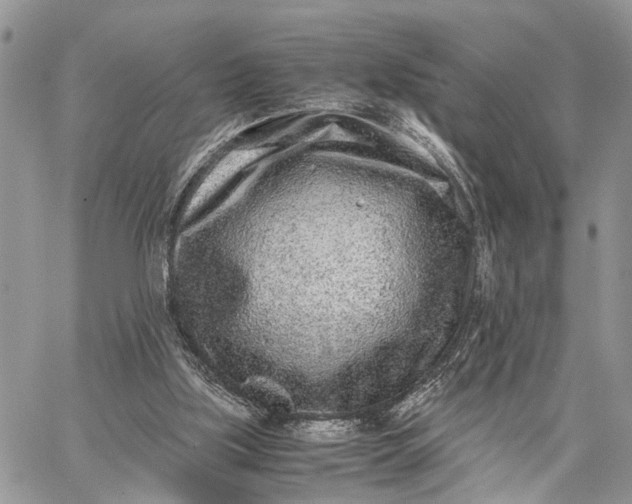 X0000062670059200601041020