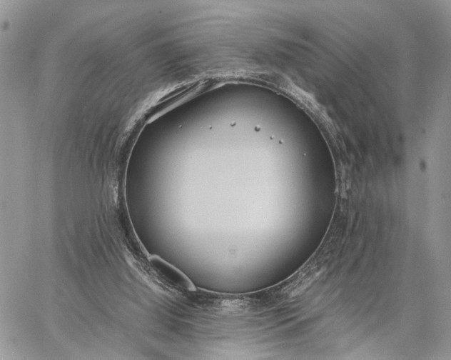 X0000062670060200601041020