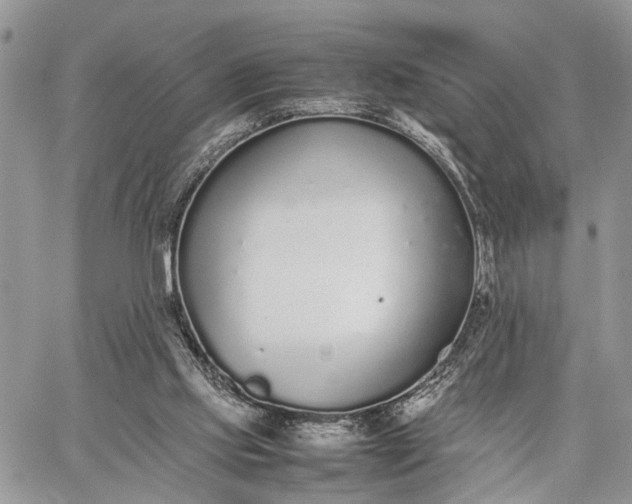 X0000062670061200601041020