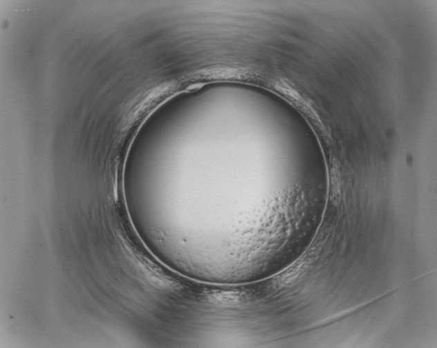 X0000062670062200601041020