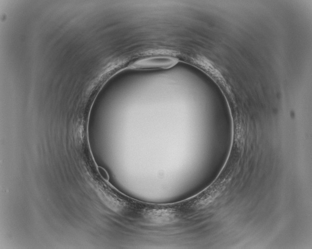 X0000062670063200601041020