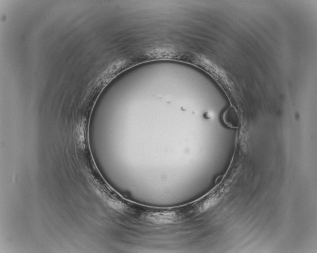 X0000062670065200601041020