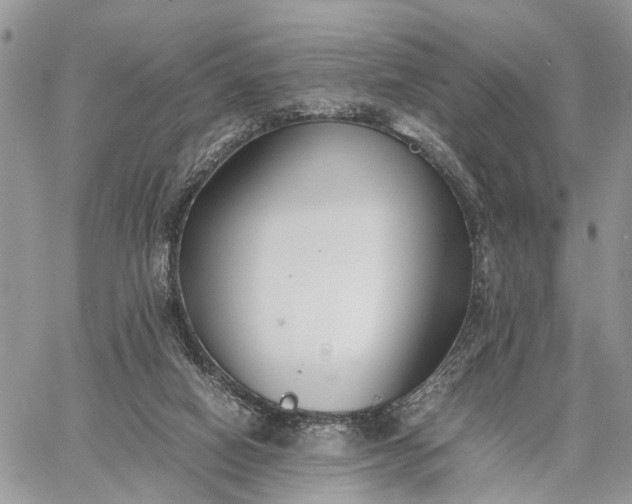 X0000062670066200601041020