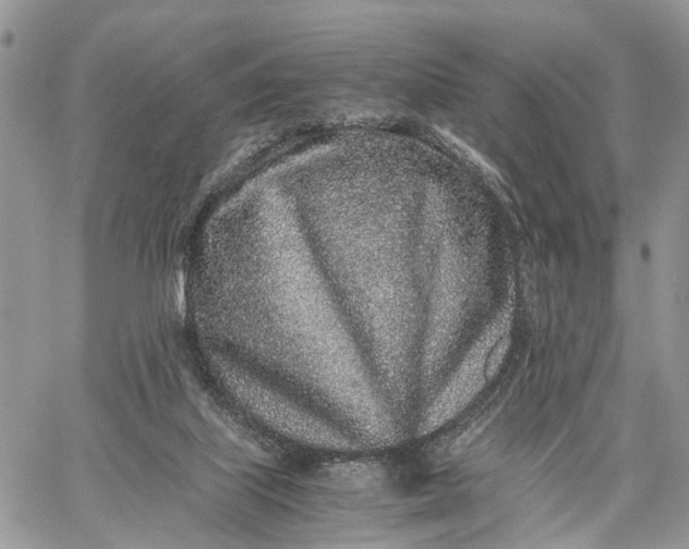 X0000062670067200601041020