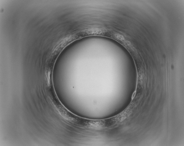 X0000062670070200601041020