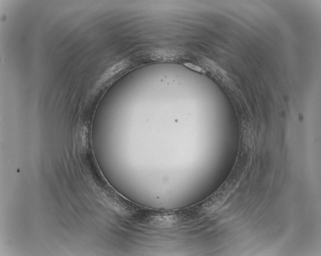 X0000062670071200601041020