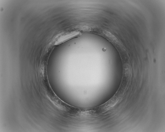 X0000062670072200601041020