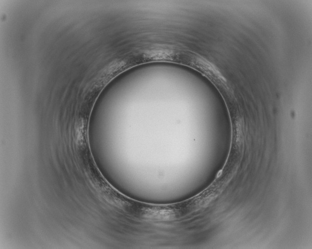 X0000062670073200601041020