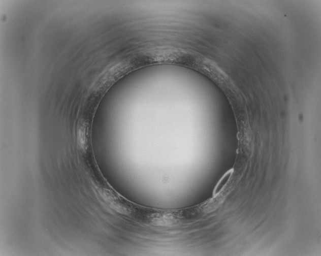 X0000062670074200601041020