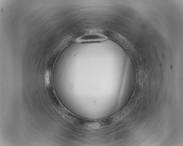 X0000062670075200601041020