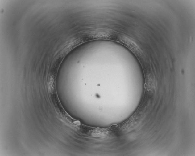 X0000062670077200601041020