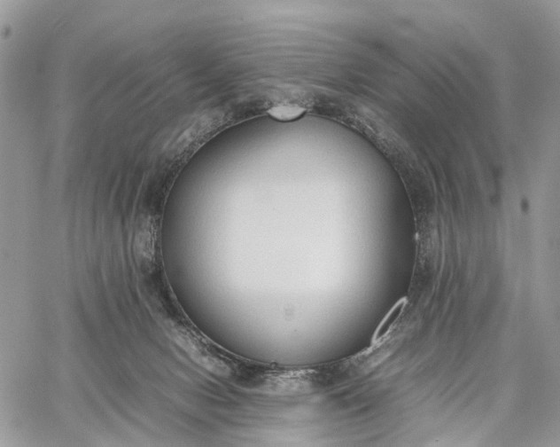 X0000062670078200601041020