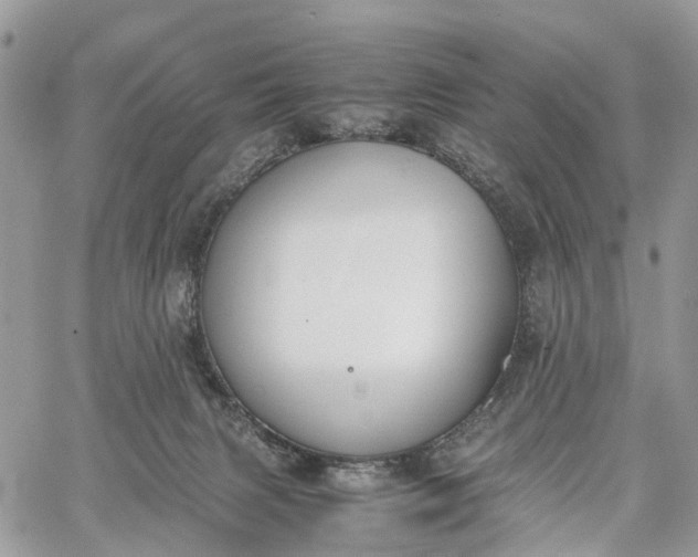 X0000062670079200601041020