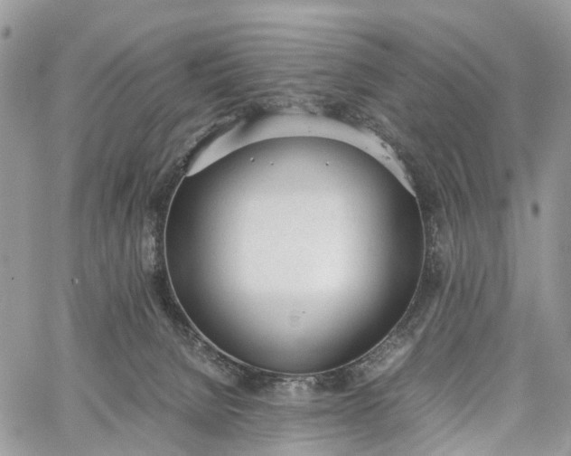 X0000062670080200601041021