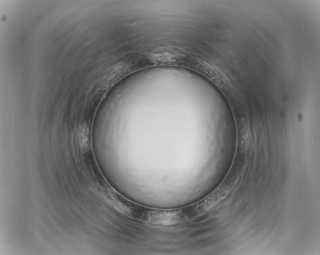 X0000062670081200601041021