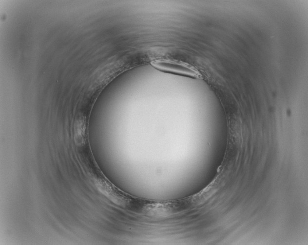 X0000062670082200601041021