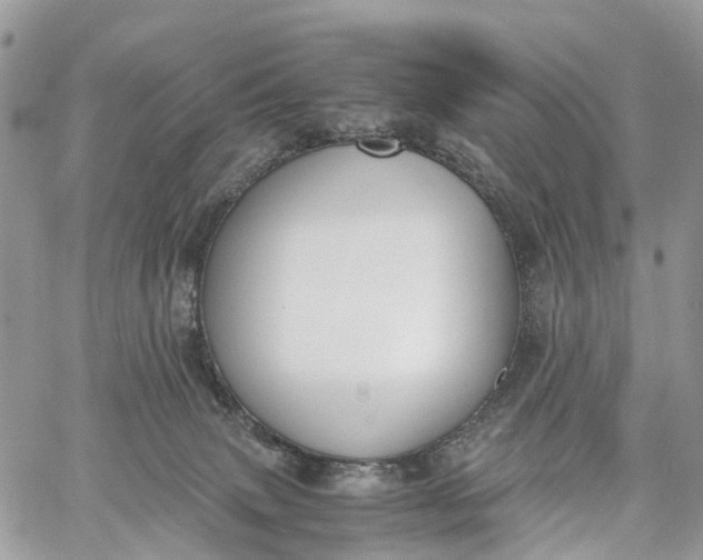 X0000062670083200601041021