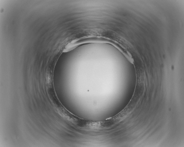 X0000062670084200601041021