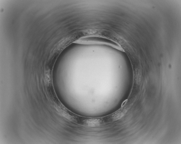 X0000062670085200601041021