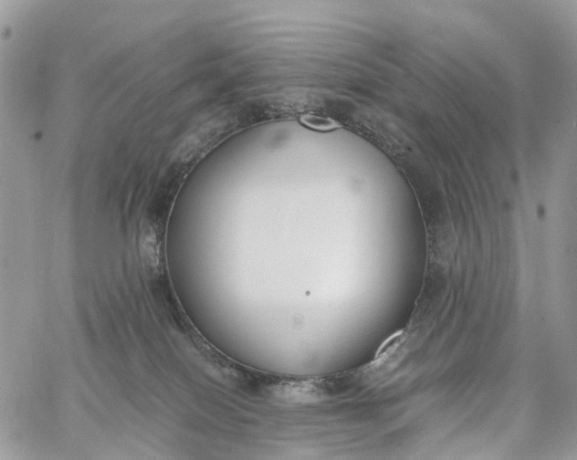 X0000062670086200601041021