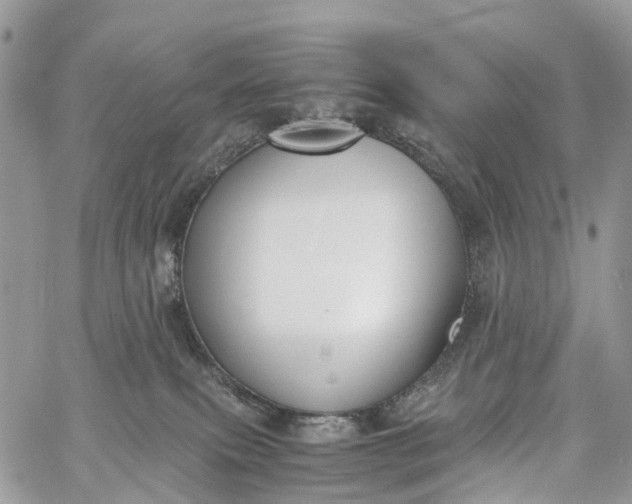 X0000062670087200601041021