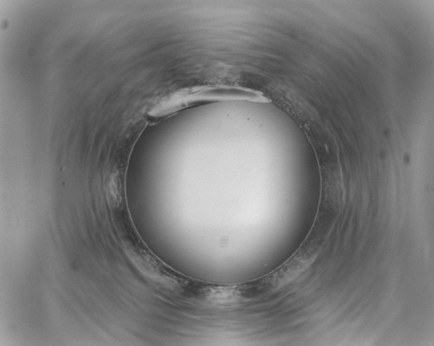 X0000062670088200601041021