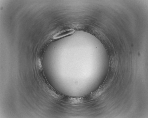 X0000062670089200601041021