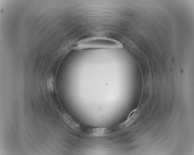 X0000062670090200601041021