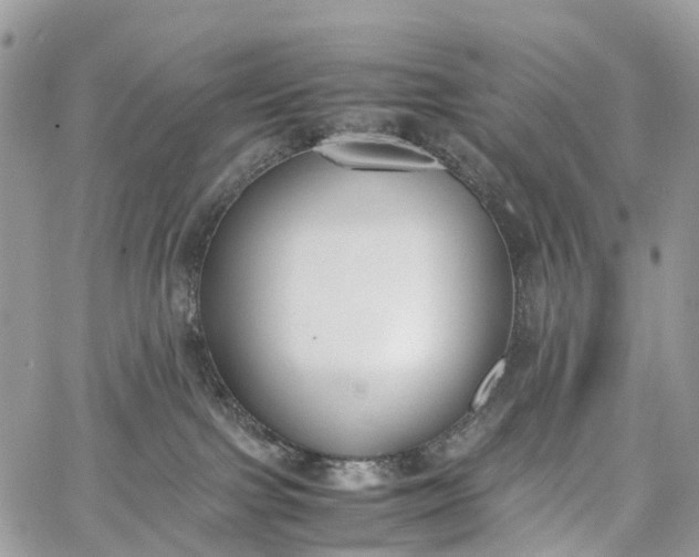 X0000062670091200601041021