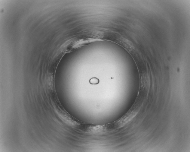 X0000062670092200601041021