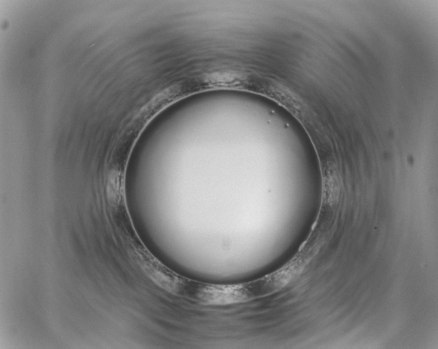 X0000062670093200601041021