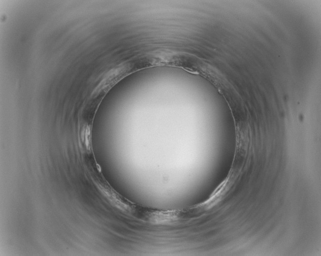 X0000062670094200601041021