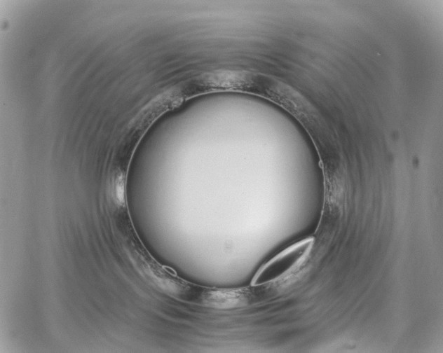 X0000062670095200601041021