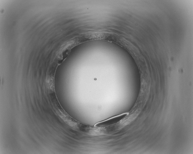 X0000062670096200601041021