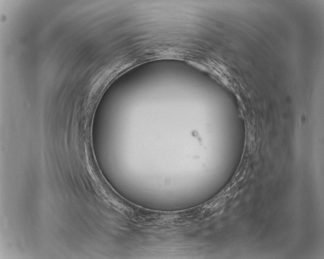 X0000062670097200601041020