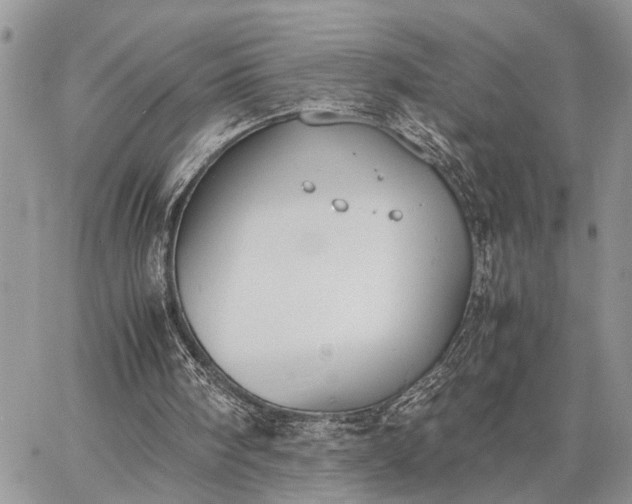 X0000062670098200601041020